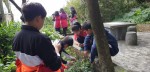 自然森活:55C4AC32-2C56-49D0-9466-6AC9E0A4562A