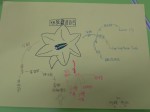 自然森活:D0207E34-2549-4274-AE1E-E21B9AC59014